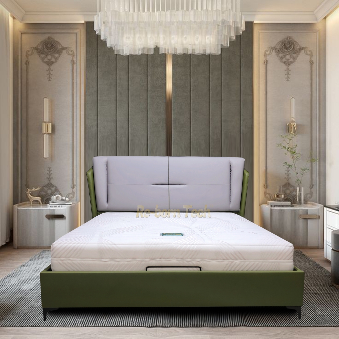 Re-born Tech Tempat tidur dipan headboard knockdown modern minimalis Italian 907