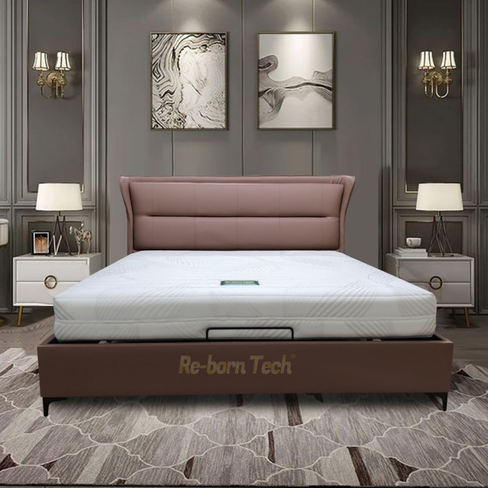Re-born Tech Tempat tidur dipan headboard knockdown modern minimalis Italian 908